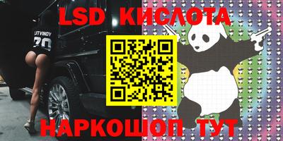 прущие крисы Новодвинск