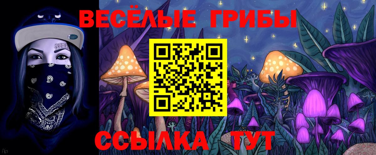 Псилоцибиновые грибы Cubensis Тара